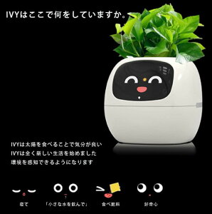 X}[gv^[ X}[gPAX}[gybg LED X}[gz[@\ ϗtA ~j Aؔ CeAO[  ^y  蕨 py