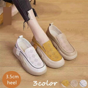 pvX EhgD [t@[  [fBXV[Y JWA V[Y fB[X RȂ Xj[J[ i[XV[Y Xj[J[ fB[X Xb| bV 