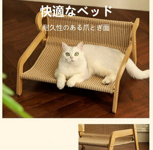 ^VTLXNb`[nbN - Lp̃vgݗĂꂽlEW`FAAϋv̂XNb`pbhbNXL̉ƋA^LɍœK