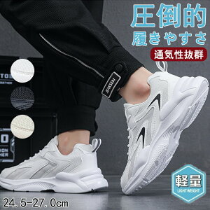 yԌ!3360~2360~zXj[J[ Y fB[X X|[c   bV ʋC ؍ ₷ ₷ y y ~ JWA YXj[J[ j