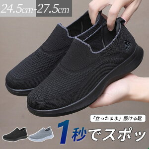 Xj[J[ Y C nYt[ ₷ TbƗ y y Ȃ ₷   lC W X|[c EH[LOV[Y JWA