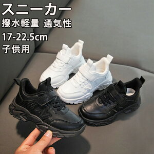 LbYV[Y ^C ʊwC qC C LbY WjA Xj[J[ ʊw jOV[Y qǂ ̎q j̎q WjA y RۖhL ₷ ^ ʊw nCLO v