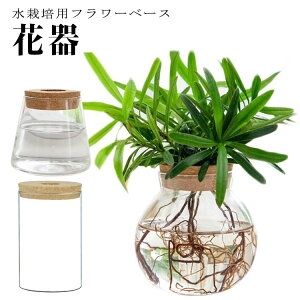 |bg  KXx[X ϗtA ԕr k͔| ~j t[x[X e    ϗtA } CeA A t[x[X Ԋ Aؔ j v[g JXj 