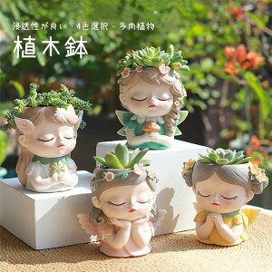 A Aؔ v^[ ~j   RPE 4color ۃE     T{e A 񂹐A u p  CeA 킢  eE e 