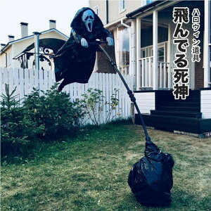 nEB  u t  k _ ng ׂ O  fr S[Xg JJV 200cm z[ | p[eB[ ͋C AEghA 傫TCY