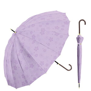 P Jɂʂƕo  Ԃт JP 16{ OXt@Co[ fB[X  v[g