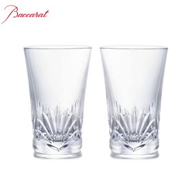 【2客セット】Baccarat GLASS JAPAN LUTETIA 2816620 バカラ グラスジャパン ルテシア