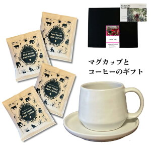 yR[q[_̃hbvR[q[ƃ}OJbṽZbgz@̓ I[KjbN R[q[Jbv Ε a y  R[q[\[T[   tFAg[h lp[ TXe