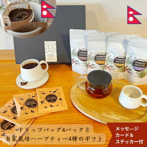 yn[ueB[4ƊnR[q[hbvobO4P̃MtgZbgzNX}X Ε ~Mtgav[g eB[pbN n[ueB[ y Wi[s[gDV[ Vi