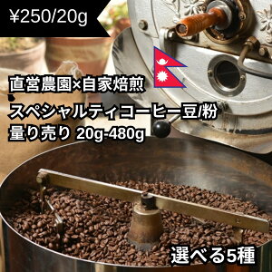 18P10{Iyʂ蔄 [ցzyn 5ʂ蔄20gz480g܂  [ R[q[  lp[ c_  XyVeB USDA I[KjbN L@͔|@[ 