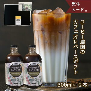 yJtFIx[X( Iׂ)2{ ߗp 300ml MtgzΕ lp[R[q[ _c  n蓤gp I[KjbN TXeiu \ AOtHXg[ M