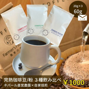 1000~|bLyn 3 (e20g) ݔ׃Zbgz [  R[q[ or @lp[ c_  VOIW TXeireB XyVeB USDA I