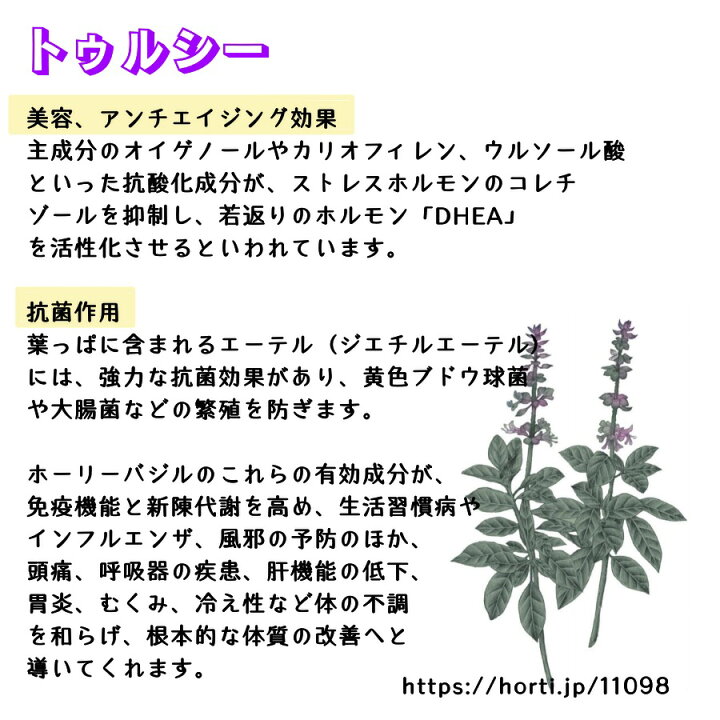 楽天市場 トゥルシーティー ティーパック８ｐ ホーリーバジル ギフト ストレス発散 ファーマーズパッション Farmers Passion 効能 アグロフォレストリー トゥル シ 森林農法 サステナブル バレンタイン ホワイトデー 父の日 母の日 敬老の日 誕生日 お歳暮