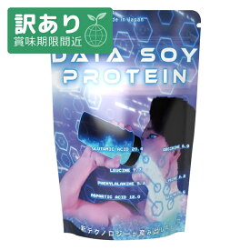 【アウトレット 賞味期限2026/1/31】プロテインテクノロジー ソイプロテイン ハイスペックタイプ 1kg ソイ プロテイン 国内生産 大豆プロテイン 大豆 男性 ダイエット 筋トレ ココア ストロベリー バナナ 抹茶