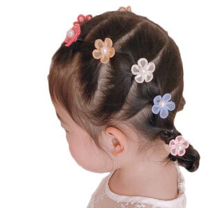 wAS t[ qp \g  ǂ ܂Ƃߔ  Vv ̎q WjA@   LbY xr[ wAANZT[ ~j