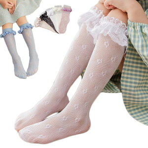 LbY C [X nC\bNX t\bNX t  H   xr[ ̎q 킢  \bNX t bV nC\bNX Vv JWA i` Vi lC