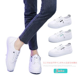 Xj[J[  fB[X [Jbg V[Y Vv JWA ʋ 킢 ₷ ʊw wZp w wl C Xj[J[