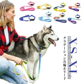 首輪 セット リード 散歩用 中大型犬 犬 リード 中型犬 痛くない 犬 かわいい おしゃれ かわいい ブランド 首輪 猫