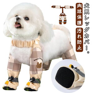 Xy_[tppc  pbOJo[ h~ pu[c ~ ߉\  h Cpc Ol{pc ی EȂ ~J U pbOJo[ o