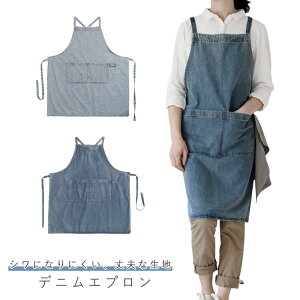 JtF 100 jp Y  @\|Pbg H^Gv fB[X  \ ɂ ƃGv EȒP ƒp fjGv ۈm JtF K[f X