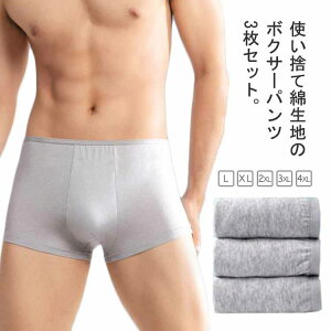 {NT[pc ĝăpc K Y ĝă{NT[pc  jp @ Ci[ V[c  ʋC 3Zbg Cw s o Rbg Xgb` sp S gїp 