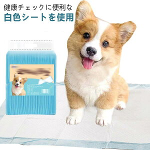 ybgV[c ^ M[800 Ch400 ybgpV[c gCV[c V[g e ܂Ƃߔ