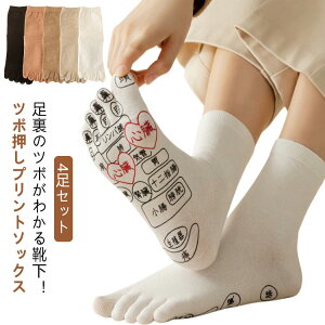 c{C c{\bNX  ܖ{w \bNX 4Zbg ˋ vg  c{₷ Y fB[X ڃ}bT[W  Rbg vg͓{ hV̓ 