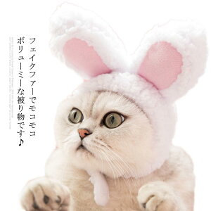 RX`[(ybgp) ybg Ck lR ybgp 蕨  rbg ƂȂ giJC NX}X t@[ tFCNt@[ GRt@[ ^ t[TCY Ck Xq