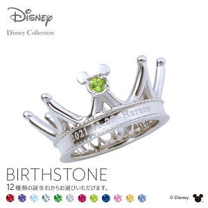 ディズニー ネックレス 誕生石 腕時計 アクセサリーの人気商品 通販 価格比較 価格 Com