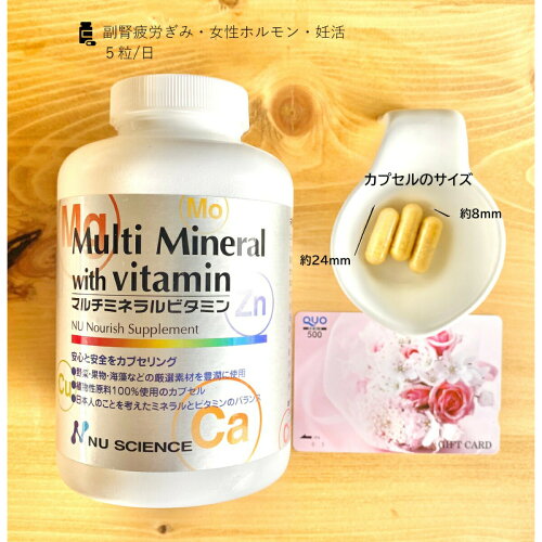 マルチミネラルビタミン(ニューサイエンス)【代引き手数料無料】【あす楽_土曜営業】【天然葉酸】