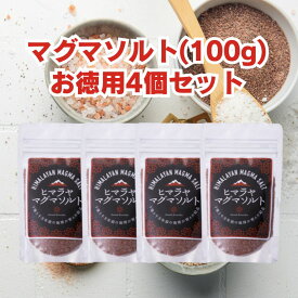 4個セット（お徳用100g）★ヒマラヤマグマソルト（マグマ塩）【送料無料】【すぐ出荷】【便利なポスト投函】天然塩　マグマソルト　ヒマラヤ　ミネラルソルト 岩塩 salt