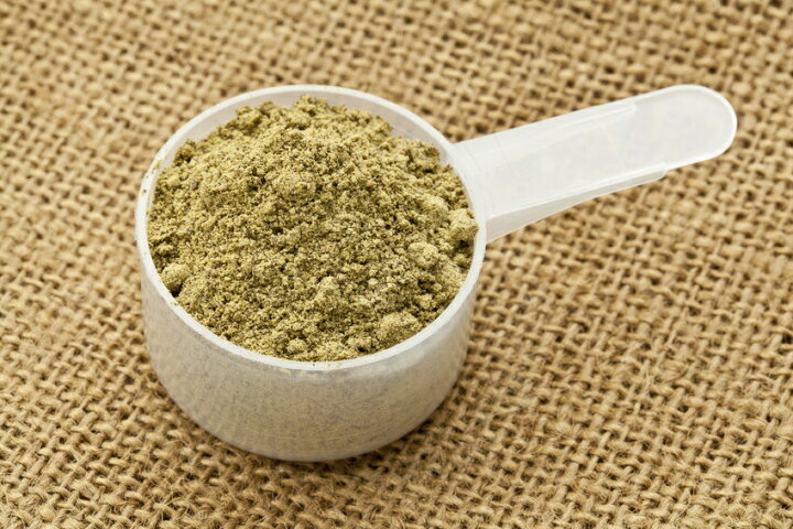 ヘンプ プロテイン【送料無料】【2倍】(HEMP PROTEIN) 454グラム」(ヘンプ・キッチン)ニューサイエンス社 プロテイン 無添加 オーガニック ヘンププロテイン オーガニック 酵素ファスティング ヘンプ プロテイン(HEMP PROTEIN) 454グラム」(ヘンプ・キッチン)ニューサイエンス社 プロテイン 無添加 オーガニック ヘンププロテイン オーガニック