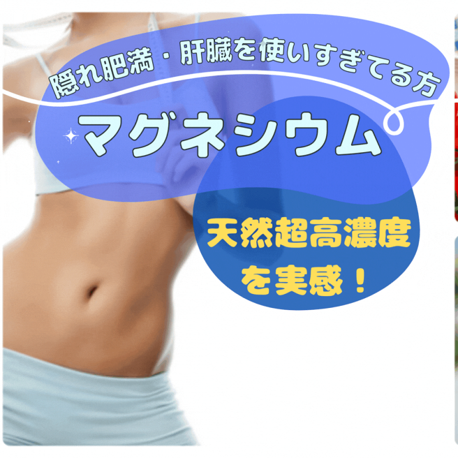 プレミアム酵素漬け 4パック プレミアム酵素漬け 4袋セット