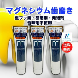 【3本入り】歯磨き粉　フッ素不使用【送料無料】ニューサイエンス★マグネシウム歯磨きペースト　マグネシウム