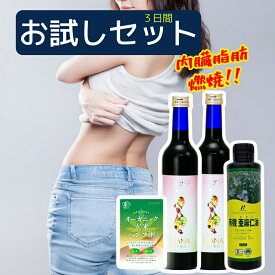 初心者マナ酵素セット,マナ酵素 500ml ファスティング ドリンク MANA酵素 酵素ドリンク ファスティングライフ ,乳酸菌ドリンク　マナ酵素　プチ断食　16時間断食　ファスティングマイスター推奨　MANA酵素