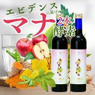 マナ酵素2本セット【最強配送】【3日間ファスティング】ファスティング,マグネシウム,Lカルニチン,MSM必…