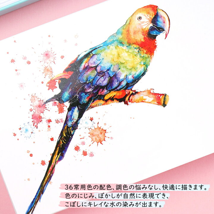 楽天市場 Meiliang 固体水彩絵具 セット ブラシ付属 36色 入門セット 初心者 おすすめ パレット付き 透明水彩 水彩絵の具 ハーフパン アラビアゴム アナログ ホビー 画材 絵かき 絵手紙 中国 絵の具 水彩ネイル 水彩パレット 水彩アート 送料無料 Fastsalesdirect
