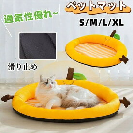 ペットマット 夏用 冷感 ペットベッド 犬 猫 ベッド 犬用 クッション ひんやり 犬用ベッド 猫用ベッド 籐製 暑さ対策 ペット用クッション 犬猫兼用 ざぶとん 敷布団 猫用 寝具 通気 滑り止め 寝床 敷きパッド 洗える ペット用品 お昼寝
