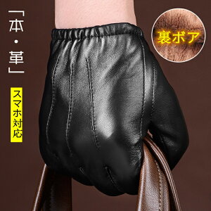   fB[X ^ t@[t {v U[ X}[gtHΉ O[u N   킢 h h p  ̓