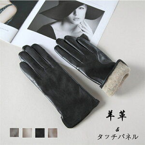   rv nE[ u[ fB[X {v ^b`pl X}[gtHΉ O[u ~  킢 h h  i 