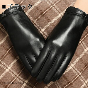 yX}zΉz fB[X v O[u U[ v {v Ԃ  w ۉ U[O[u {vO[u 킢 p U[ g h  {v U[ H~ 