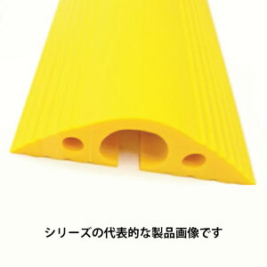 ���[�{���@NP810Y-UB�i���j��80mmx�S��1m�@��v���e�N�^�@�i25x16mm�jNP�V���[�Y