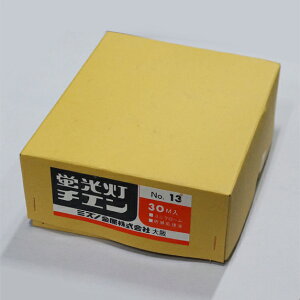 ~Ym@u݂艺p `F[ 13 (40W1p) F30m
