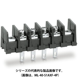 �T�g�[�p�[�c�@ML-40-S1AXF-2P�i2�Ɂj�˂����[�q��@�[�q�ԃs�b�`7.62mm�@��i250V-10A�@110�^�u�@�p�l�����t��