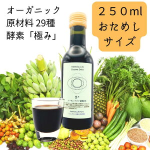 c_[ E3000{Iyn[j[Ct yfuɂ݁v TCY 250mlz I[KjbN ޗ 29gp _ yfhN yf hN yf_CGbg t@XeB