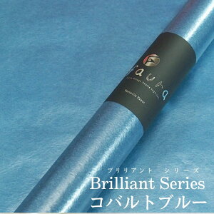 t@E bsOy[p[ 65cm×20m[ Rogu[   [ IWi Mtg  Y ԕ aَq @̓@ԉ