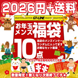 2026円 福袋 メンズ下着 10点 2026年 数量限定 メンズインナー お年玉 ビキニ Tバック ボクサー ブリーフ トランクス ケツワレ 褌 GT-LINE Favolic 午年