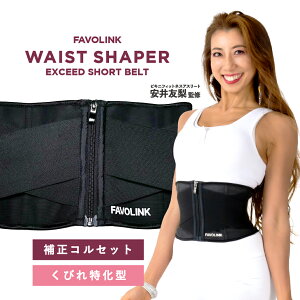 ylCNo.1zFAVOLINK EXCEED SHORTxgiV[gEubNjbFďC EGXgVFCp[bтE]E߁b␮E_CGbgEg[jOΉbt@{N