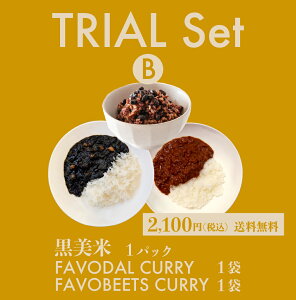 gCAZbgB@P鍕ā{FAVOBEETS CURRY{FAVODAL CURRYie1jyЂƂ肳1Zbg(1̂)zF FAVOLINK t@{N  G 퉷ۑ XpCX`LL[}J