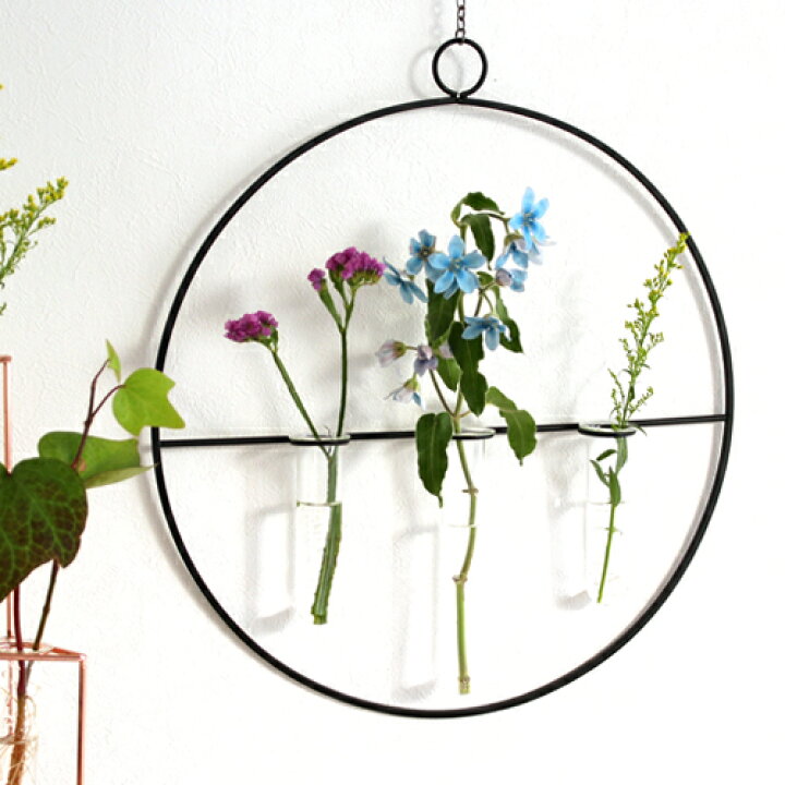 楽天市場 花瓶 壁掛け 一輪挿し おしゃれ ガラス管 フラワーベース 円形 ワイヤーフレーム アイアン モダン 試験管 Wall Vase Circle Glass Tube Favoritestyle キッチン 雑貨